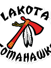 Load image into Gallery viewer, Lakota Tomahawks Sticker
